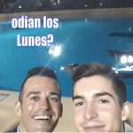 ¿Tu entorno Odia los Lunes?