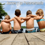 Barnes. Una Historia Sobre La Perseverancia