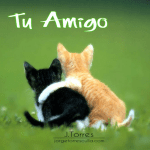 Tu Amigo No Determina Tu Éxito