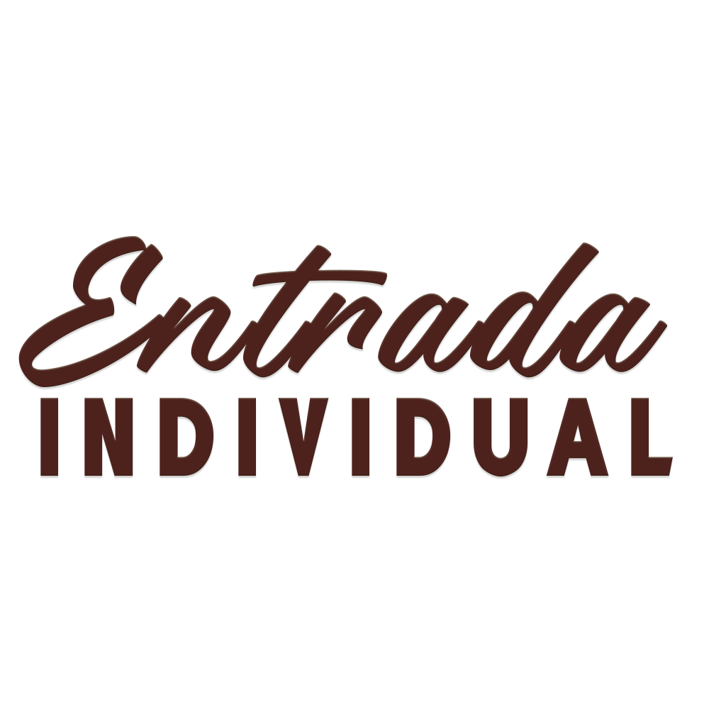 🎟️ Entrada Individual — Acceso General